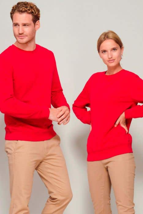 Sol's Sweatshirt Comet