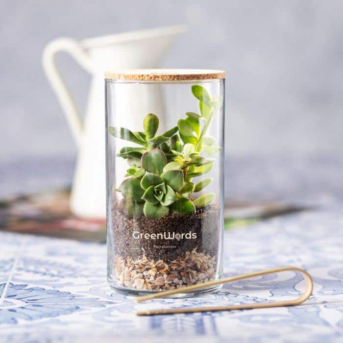 Anymak Terrarium