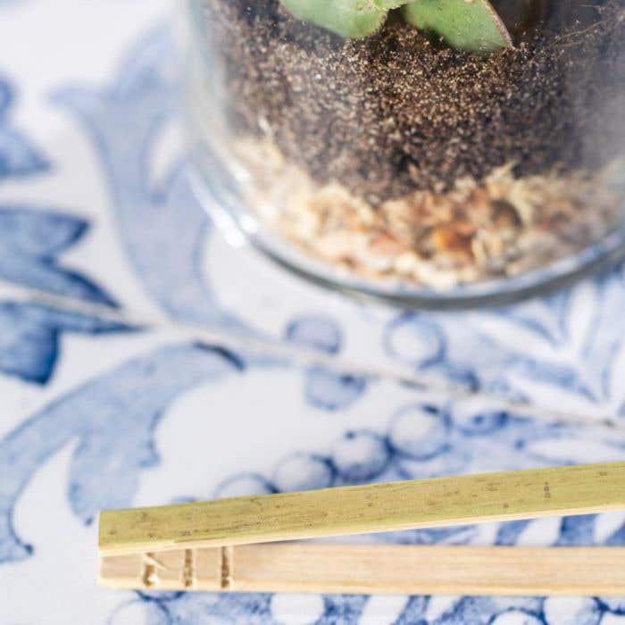 Anymak Terrarium