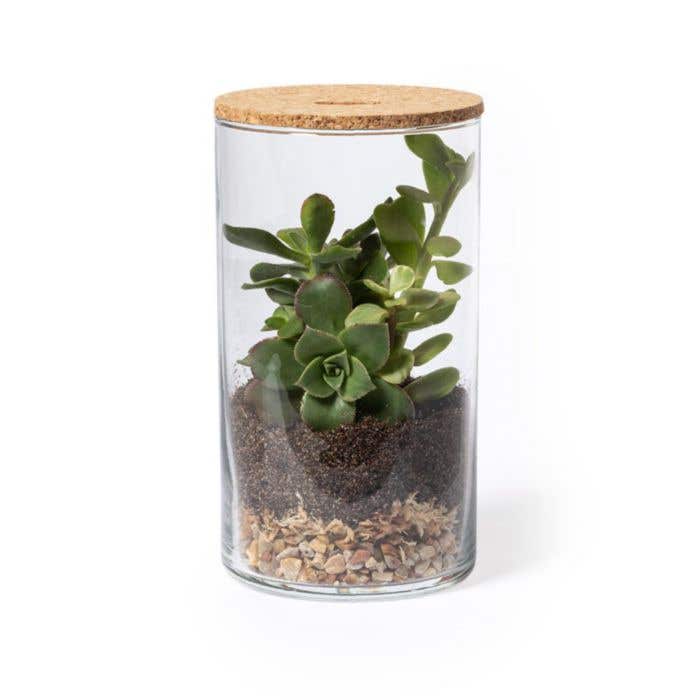 Anymak Terrarium